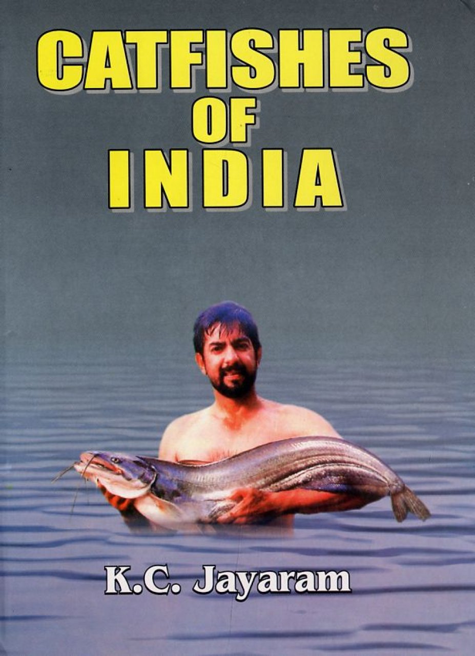 Catfishes of India