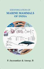 Identification of Marine Mammals of India
