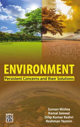 Environment: Persistent Concerns And Their Solutions