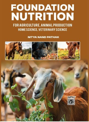 Foundation Nutrition