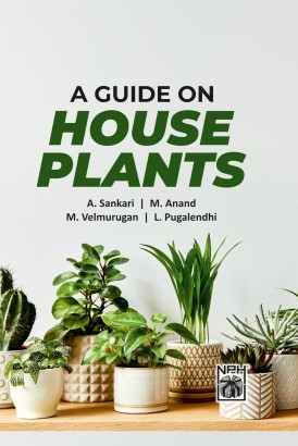 Guide on House Plants
