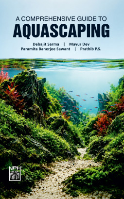 Comprehensive Guide to Aquascaping