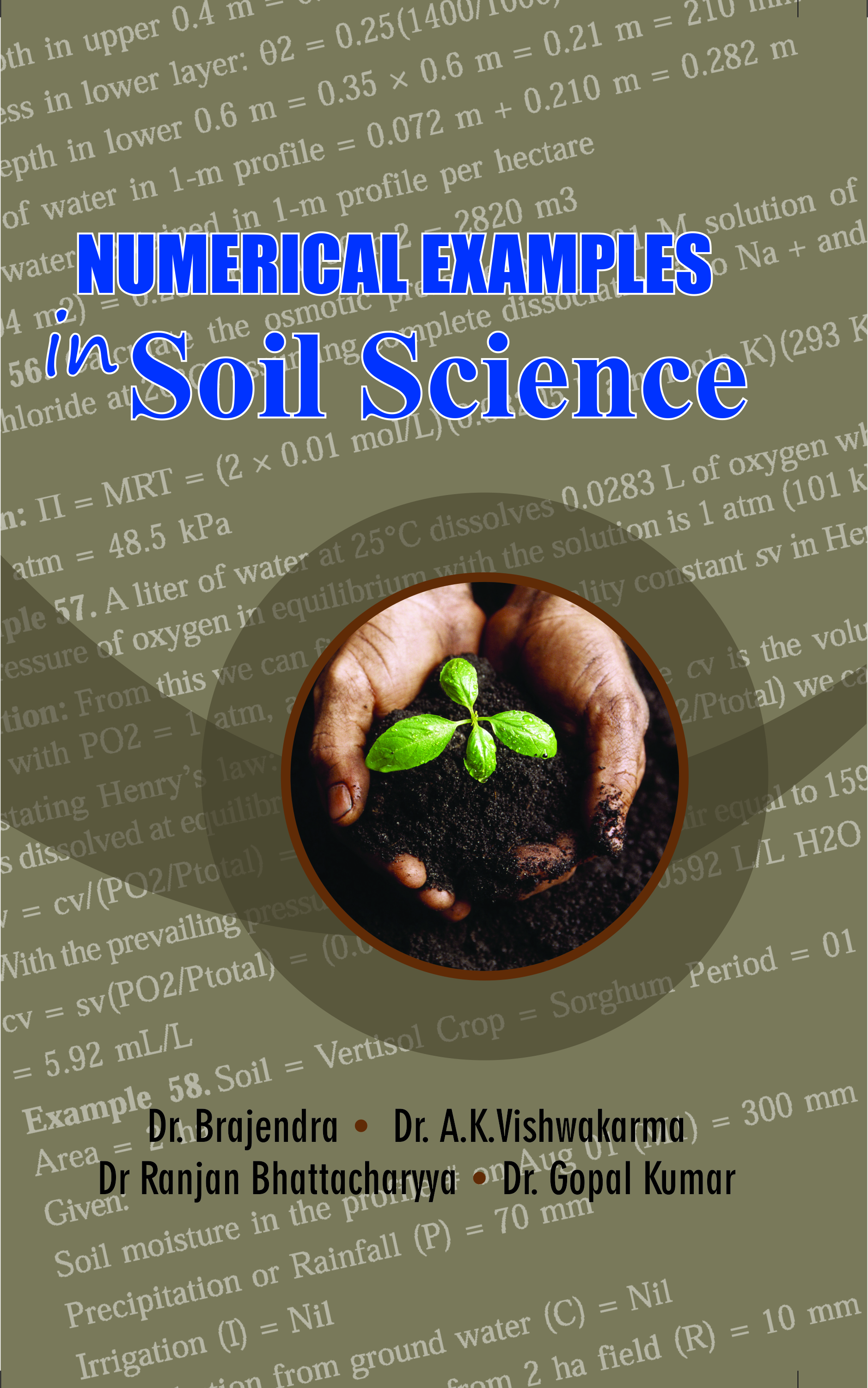 Numerical Examples in Soil Science