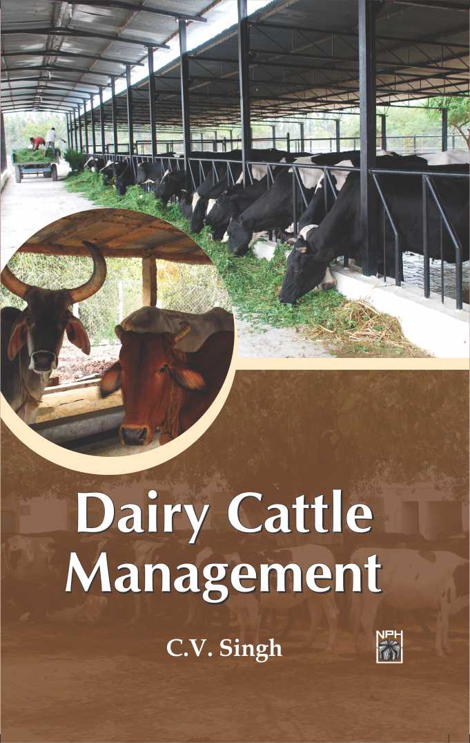 Dairy Cattle Management