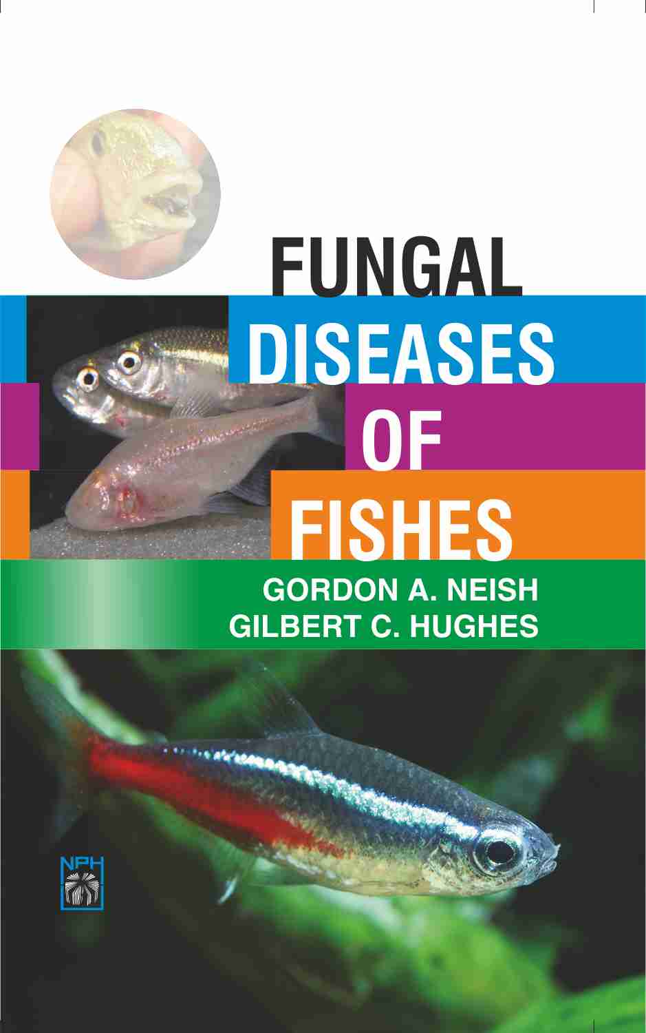 Fungal Diseases of Fishes