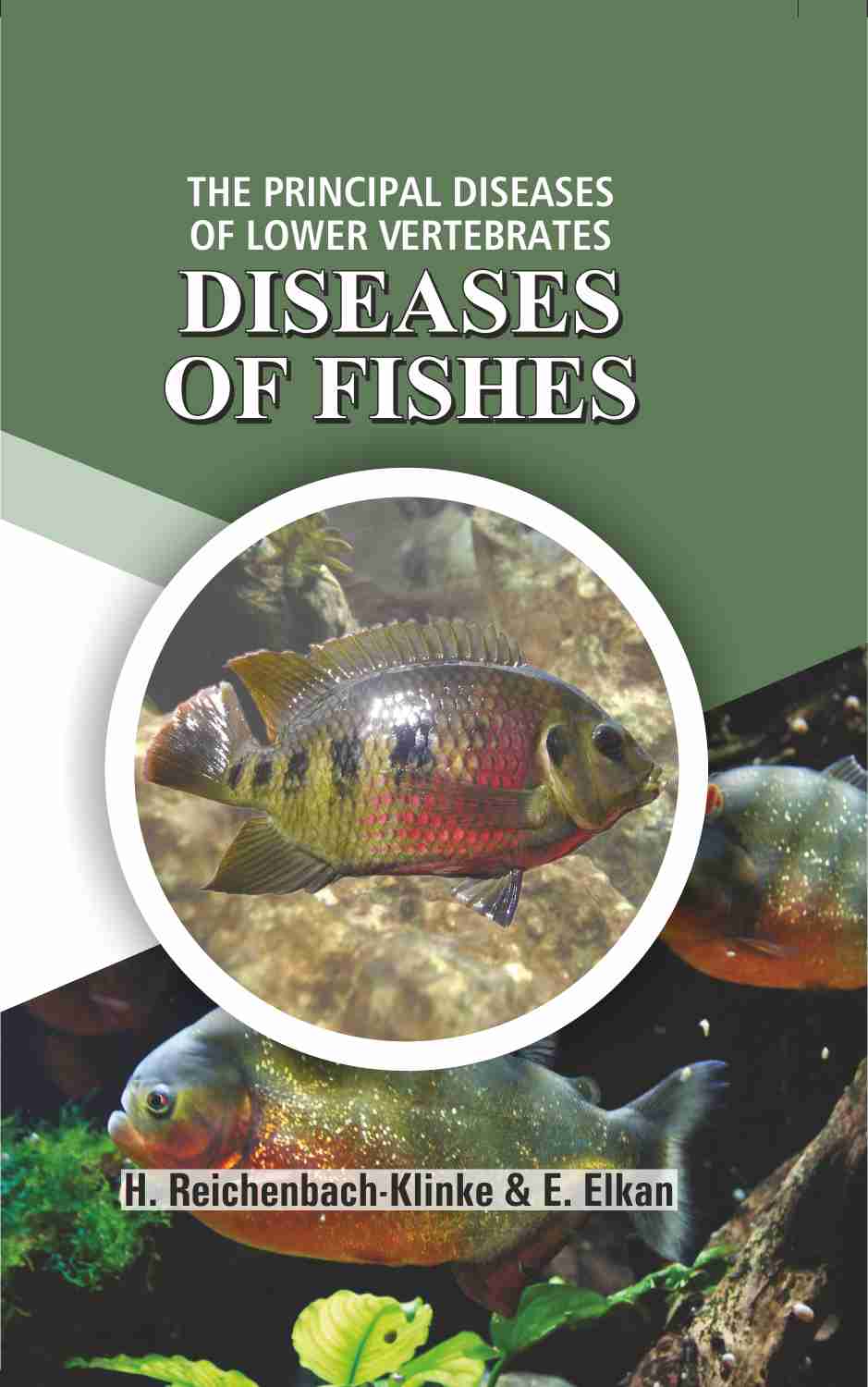 Principles Diseases of Lower Vertebrates : Diseases of Fishes
