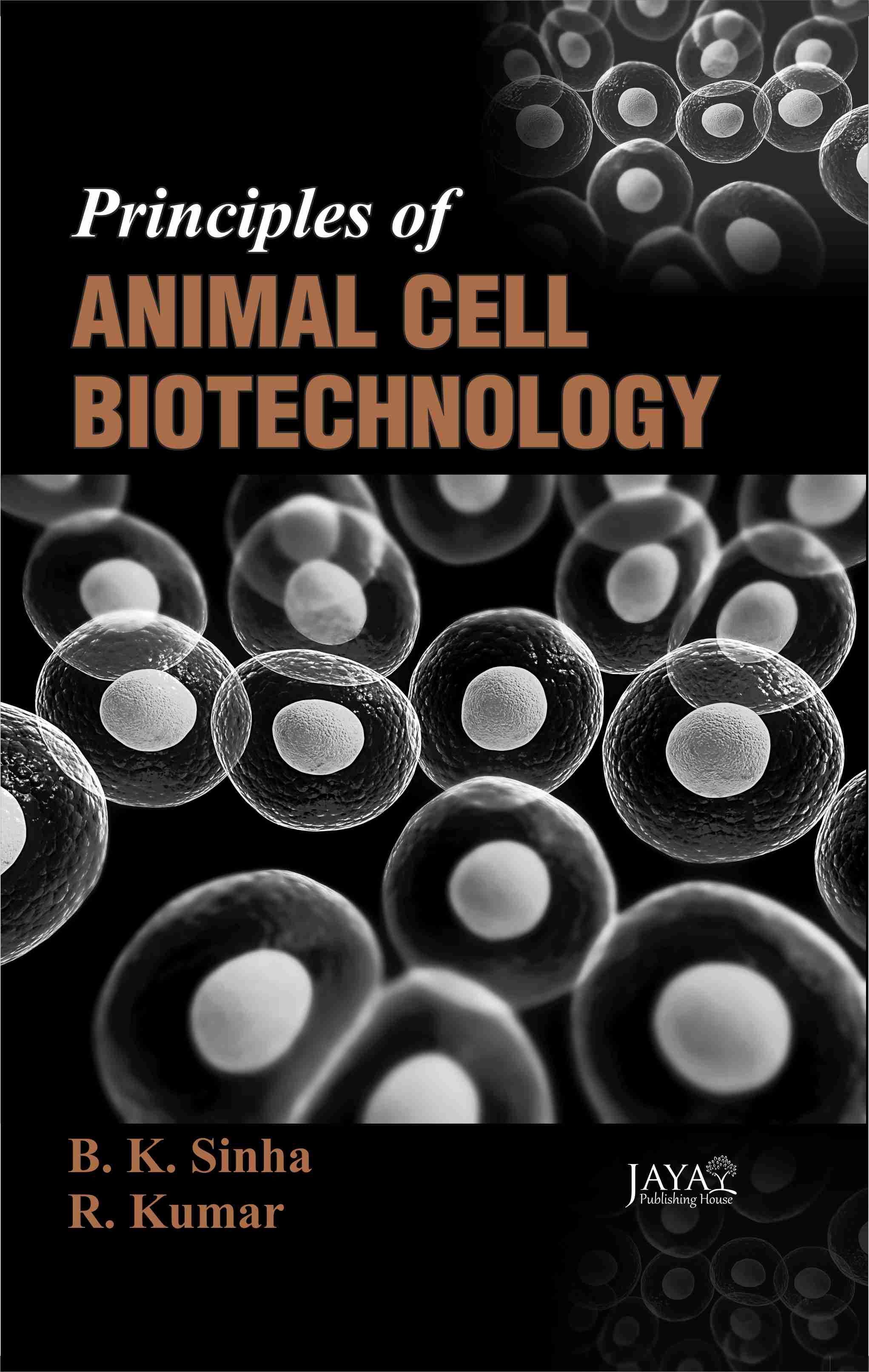 Principles of Animal Cell Biotechnology