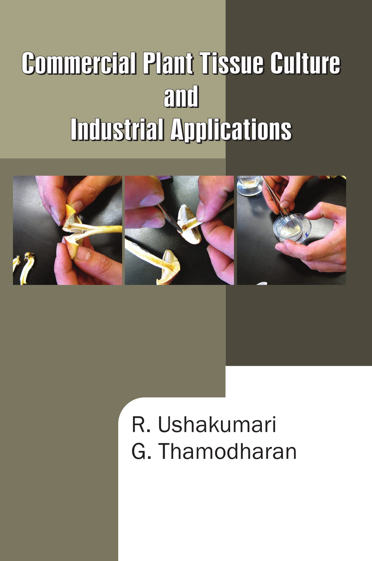 Commercial Plant Tissue Culture and Industrial Applications