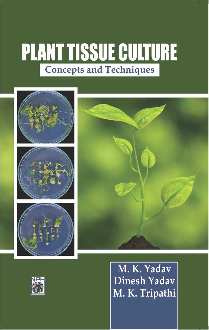 Plant Tissue Culture : Concepts & Techniques