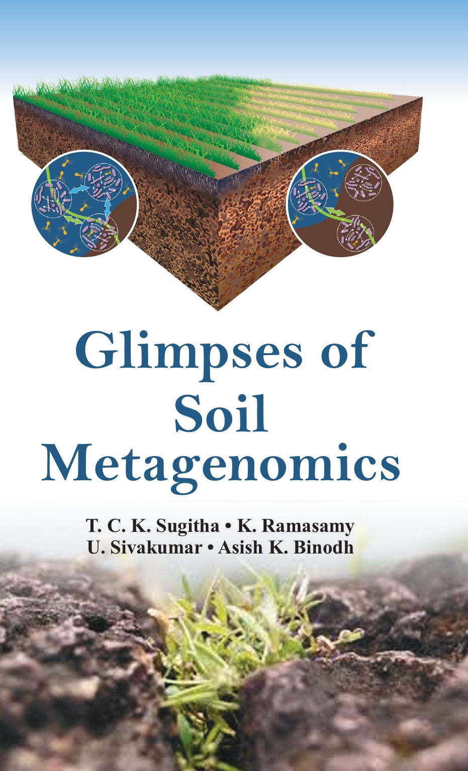 Glimpses of Soil Metagenomics
