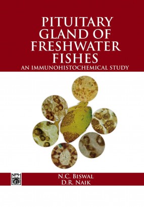 Pituitary Gland Of Freshwater Fishes