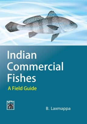 Indian Commercial Fishes:  A Field Guide