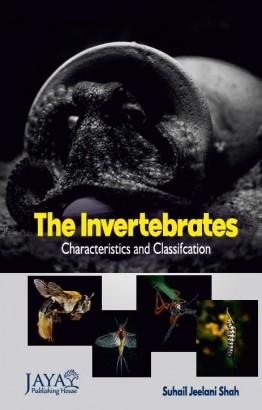 The Invertebrates: Characteristics and Classification