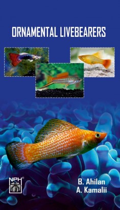 Ornamental Livebearers
