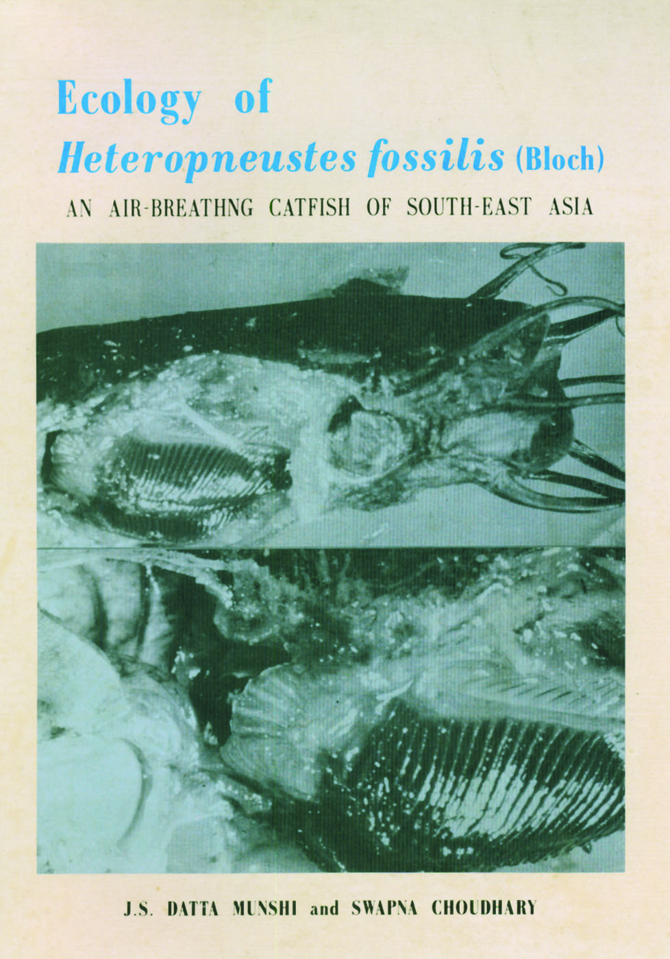 Ecology of Heteropneustes Fossils (Bloch : An Air Breathing catfish of South East Asia)