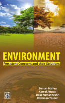 Environment: Persistent Concerns And Their Solutions