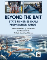 Beyond The Bait