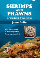 Shrimps and Prawns (Crustacea Decapoda) from India