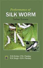 Performance of Silkworm