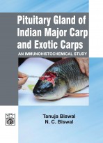 Pituitary Gland Of Indian Major Carp And Exotic Carp