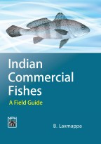 Indian Commercial Fishes:  A Field Guide