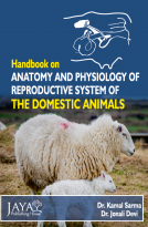 Anatomy and Physiology of Reproductive System of the Domestic Animals